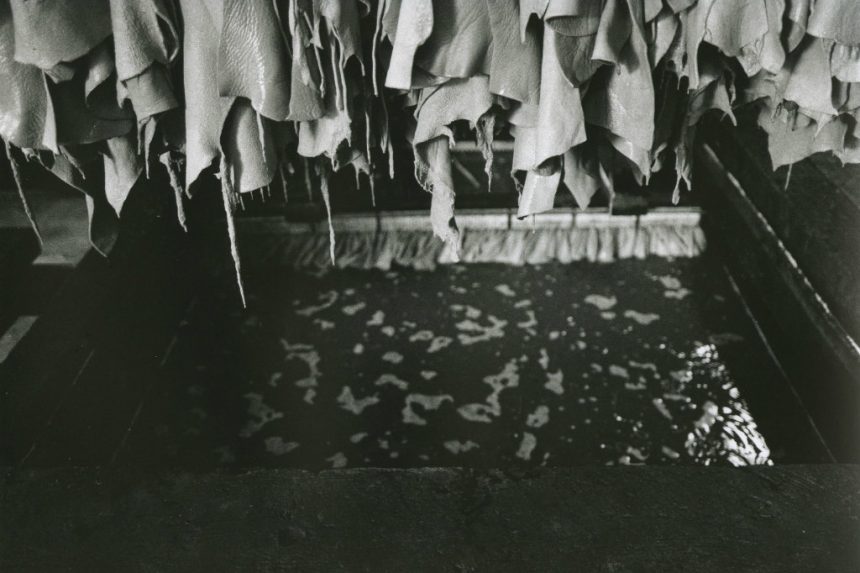 L’uomo, la storia e la concia al vegetale